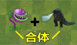 食人花视频,自然界的神秘捕食者