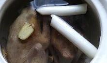 炖鸽子汤的做法视频,炖鸽子汤的秘制做法大揭秘