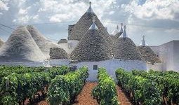 普利亚,意大利南部的阳光与热情之旅